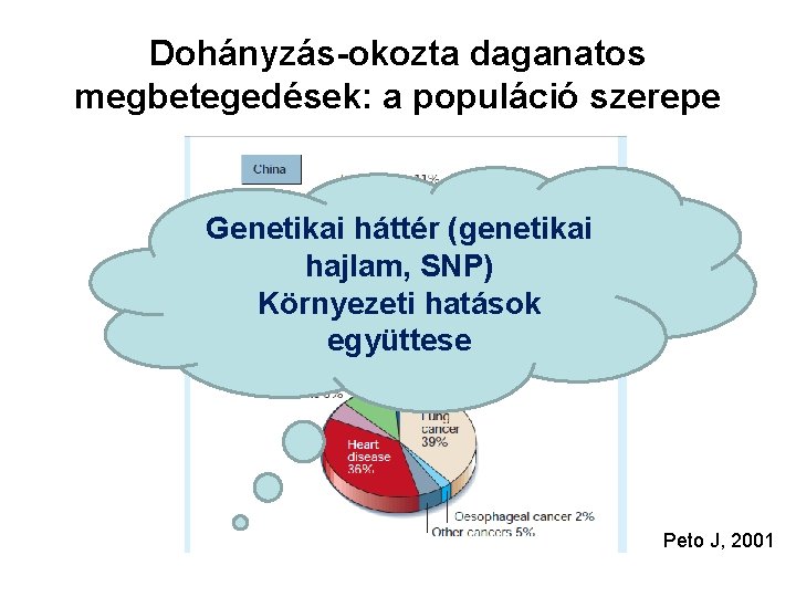 Dohányzás-okozta daganatos megbetegedések: a populáció szerepe Genetikai háttér (genetikai hajlam, SNP) Környezeti hatások együttese