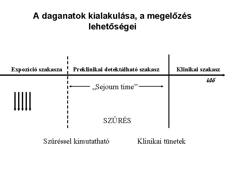 A daganatok kialakulása, a megelőzés lehetőségei Expozíció szakasza Preklinikai detektálható szakasz Klinikai szakasz „Sejourn