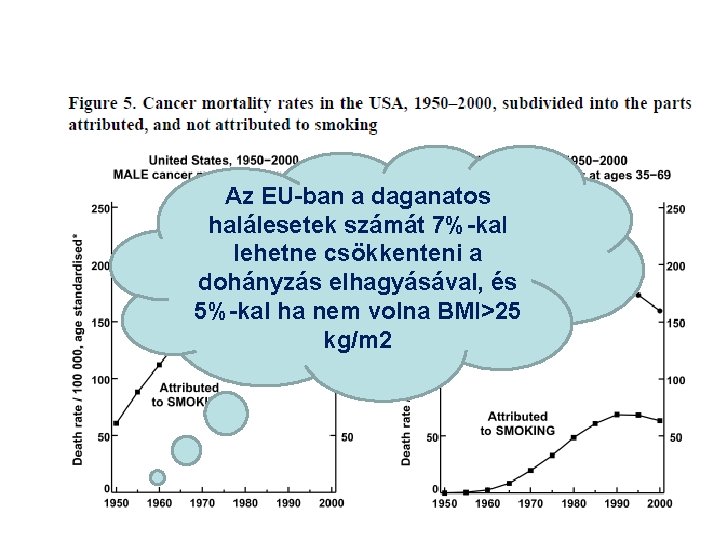 Az EU-ban a daganatos halálesetek számát 7%-kal lehetne csökkenteni a dohányzás elhagyásával, és 5%-kal