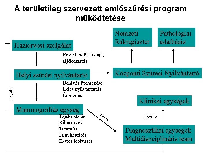 A területileg szervezett emlőszűrési program működtetése Nemzeti Rákregiszter Háziorvosi szolgálat Pathológiai adatbázis Értesítendők listája,