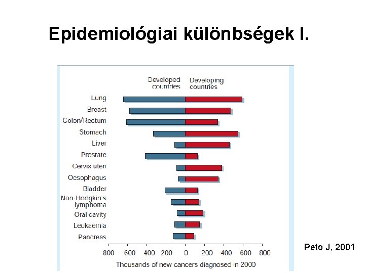 Epidemiológiai különbségek I. Peto J, 2001 