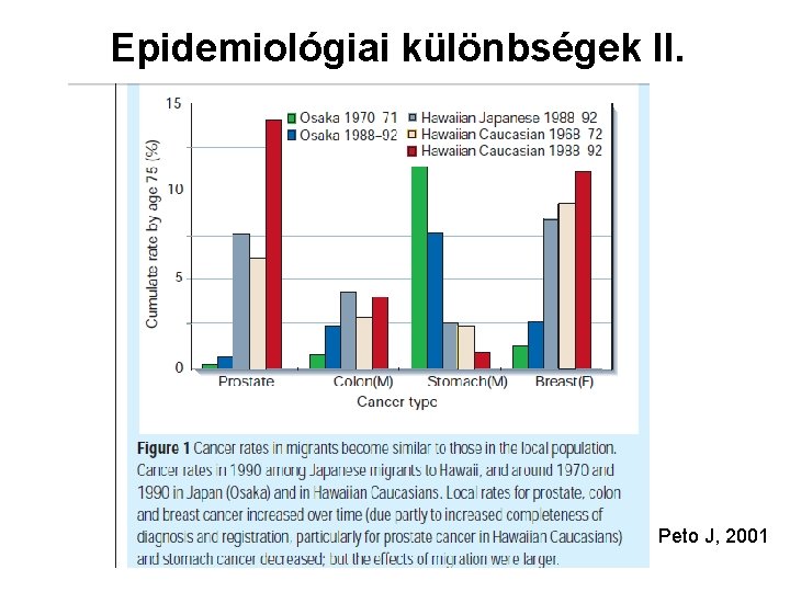 Epidemiológiai különbségek II. Peto J, 2001 