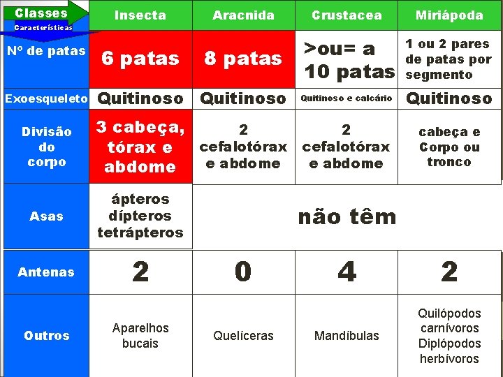 Classes Características Nº de patas Exoesqueleto Divisão do corpo Insecta 6 patas Crustacea Miriápoda