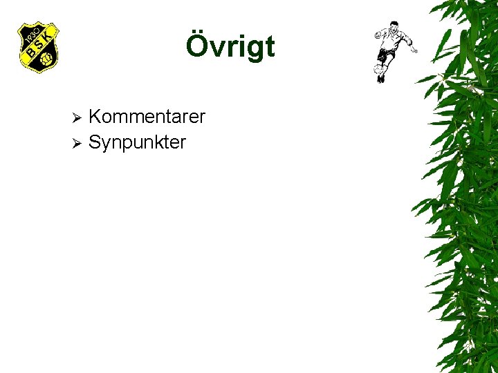 Övrigt Kommentarer Ø Synpunkter Ø 