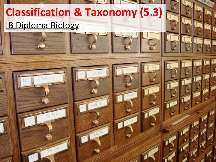 Classification & Taxonomy (5. 3) IB Diploma Biology 