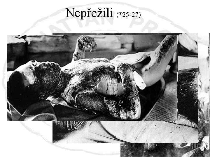 Nepřežili (*25 -27) 