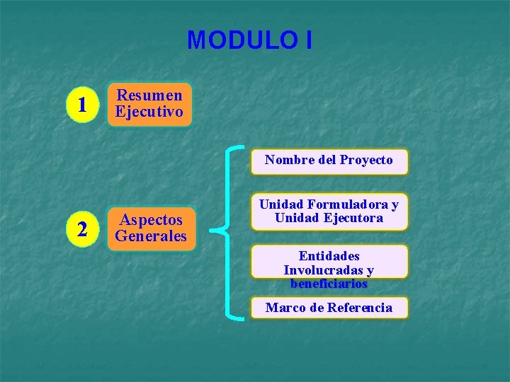 MODULO I 1 Resumen Ejecutivo Nombre del Proyecto 2 Aspectos Generales Unidad Formuladora y