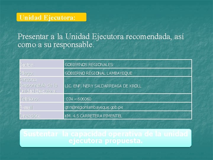 Unidad Ejecutora: Presentar a la Unidad Ejecutora recomendada, así como a su responsable. Sector: