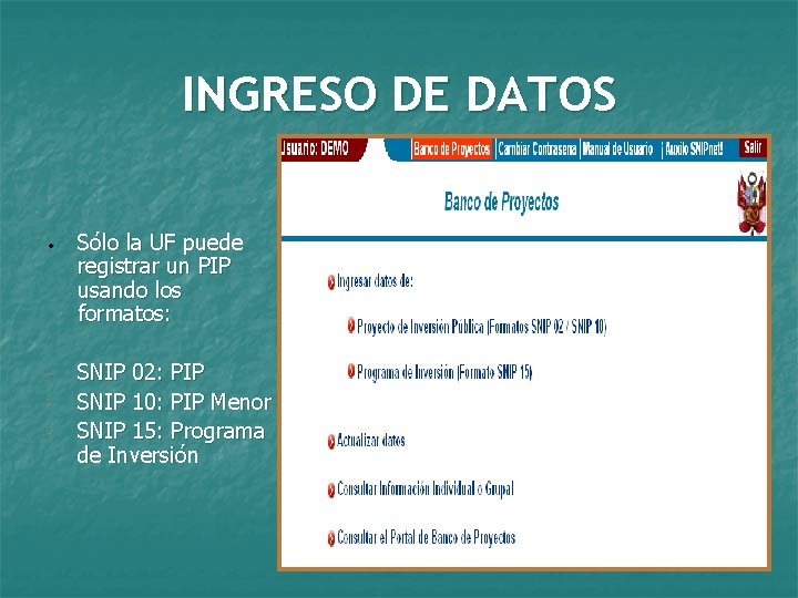 INGRESO DE DATOS • Sólo la UF puede registrar un PIP usando los formatos: