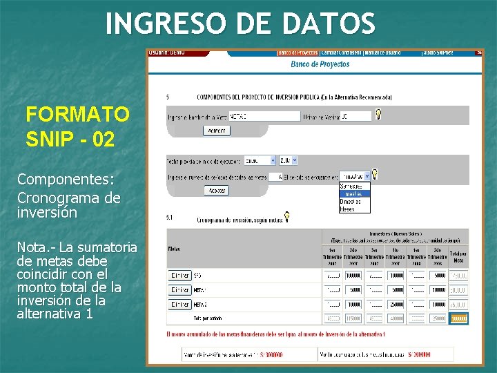 INGRESO DE DATOS FORMATO SNIP - 02 Componentes: Cronograma de inversión Nota. - La