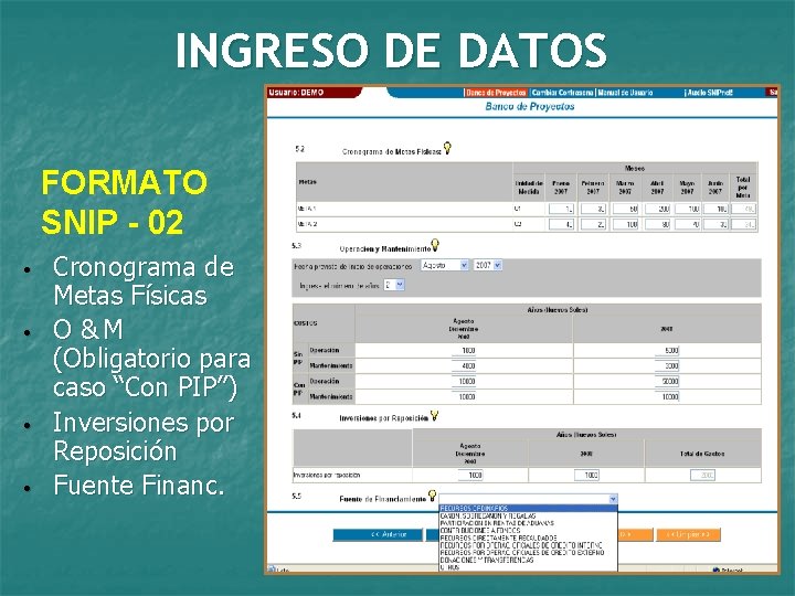 INGRESO DE DATOS FORMATO SNIP - 02 • • Cronograma de Metas Físicas O