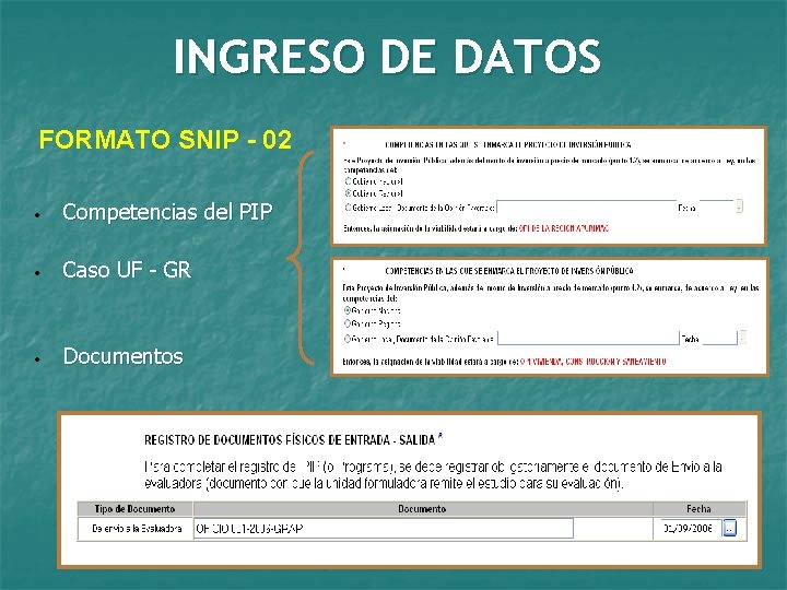 INGRESO DE DATOS FORMATO SNIP - 02 • Competencias del PIP • Caso UF