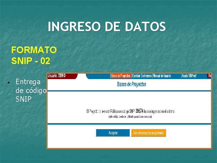 INGRESO DE DATOS FORMATO SNIP - 02 • Entrega de código SNIP 
