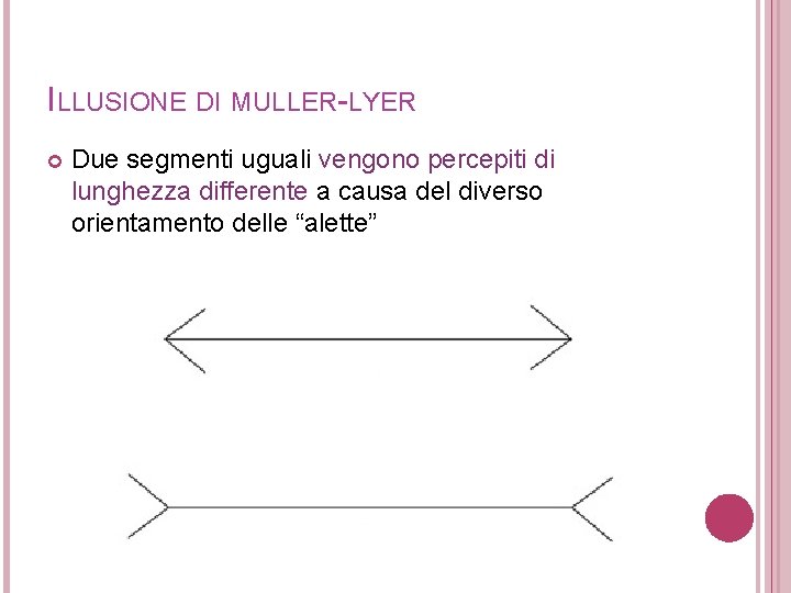 ILLUSIONE DI MULLER-LYER Due segmenti uguali vengono percepiti di lunghezza differente a causa del