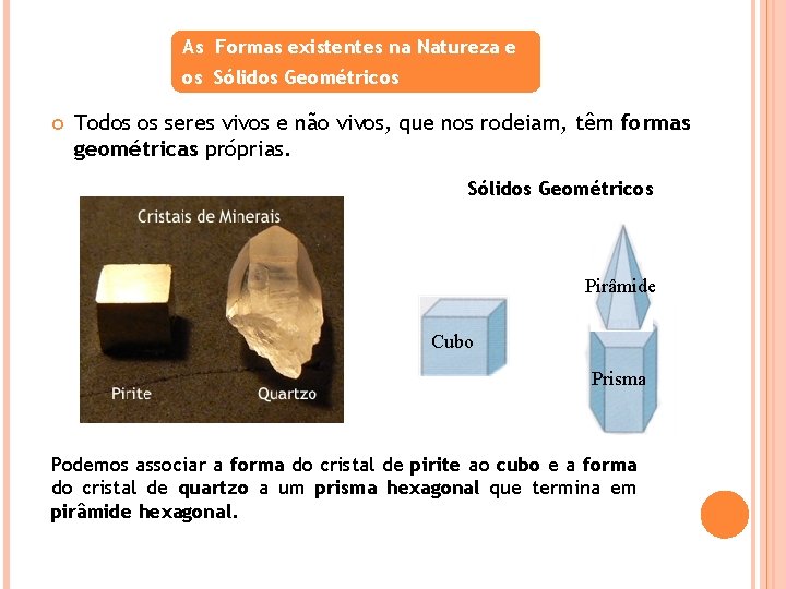 As Formas existentes na Natureza e os Sólidos Geométricos Todos os seres vivos e