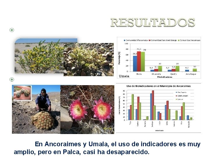 En Ancoraimes y Umala, el uso de indicadores es muy amplio, pero en Palca,