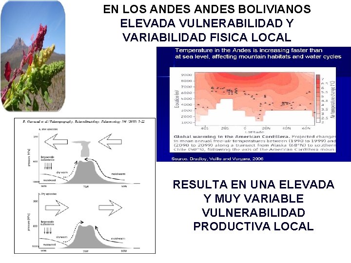 EN LOS ANDES BOLIVIANOS ELEVADA VULNERABILIDAD Y VARIABILIDAD FISICA LOCAL RESULTA EN UNA ELEVADA