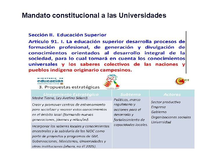 Mandato constitucional a las Universidades 
