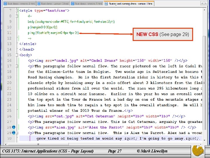 NEW CSS (See page 29) CGS 3175: Internet Applications (CSS – Page Layout) Page
