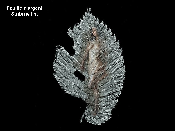 Feuille d'argent Stříbrný list 