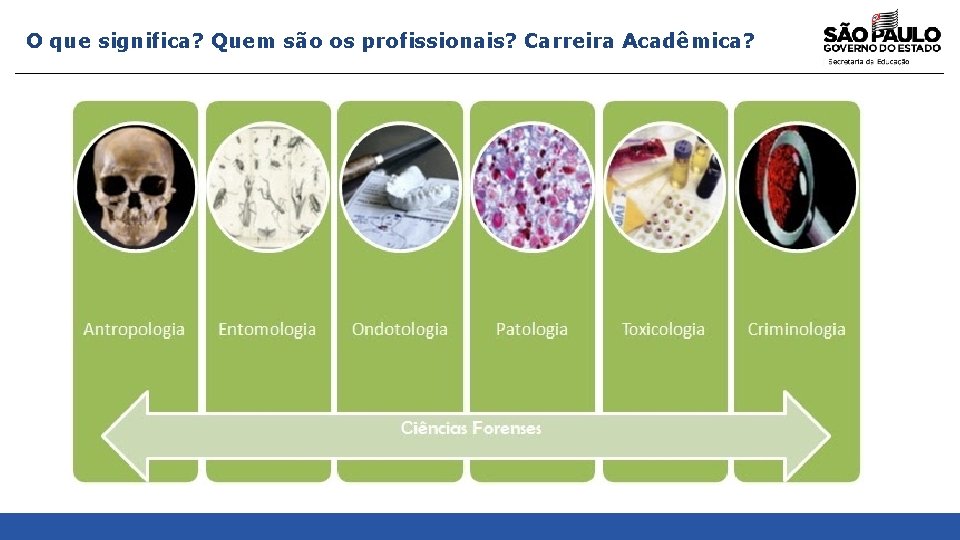 O que significa? Quem são os profissionais? Carreira Acadêmica? 