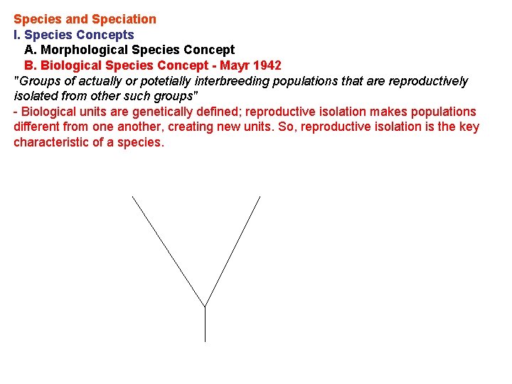 Species and Speciation I. Species Concepts A. Morphological Species Concept B. Biological Species Concept