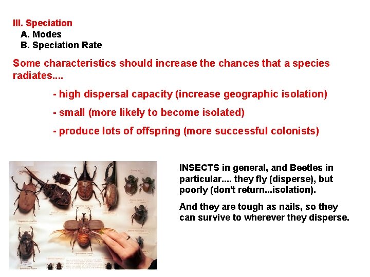 III. Speciation A. Modes B. Speciation Rate Some characteristics should increase the chances that