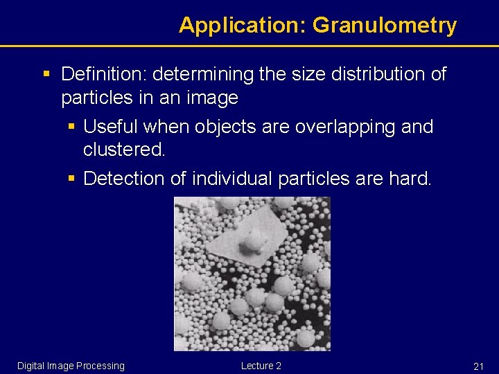 Application: Granulometry § Definition: determining the size distribution of particles in an image §