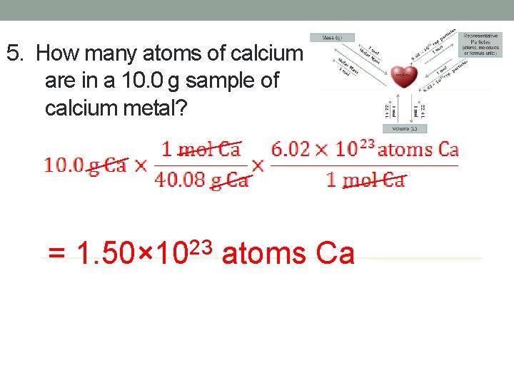 5. How many atoms of calcium are in a 10. 0 g sample of