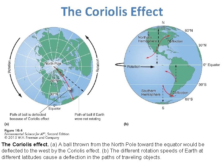 The Coriolis Effect The Coriolis effect. (a) A ball thrown from the North Pole