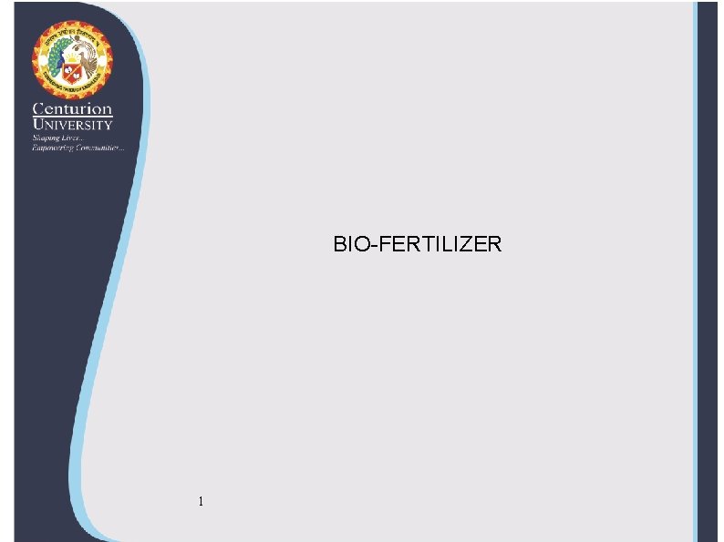 BIO-FERTILIZER 1 