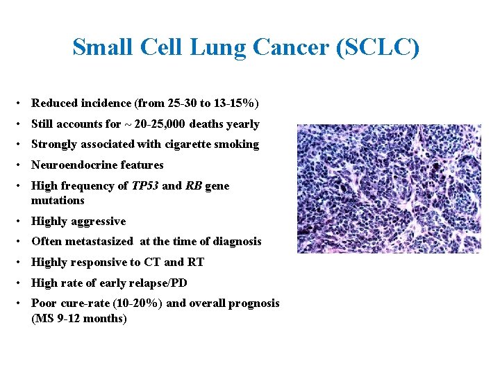 Small Cell Lung Cancer (SCLC) • Reduced incidence (from 25 -30 to 13 -15%)