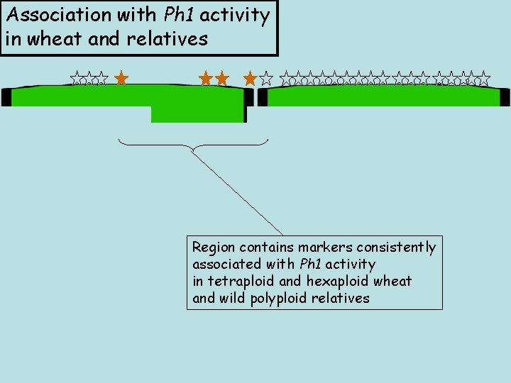 Association with Ph 1 activity in wheat and relatives Region contains markers consistently associated