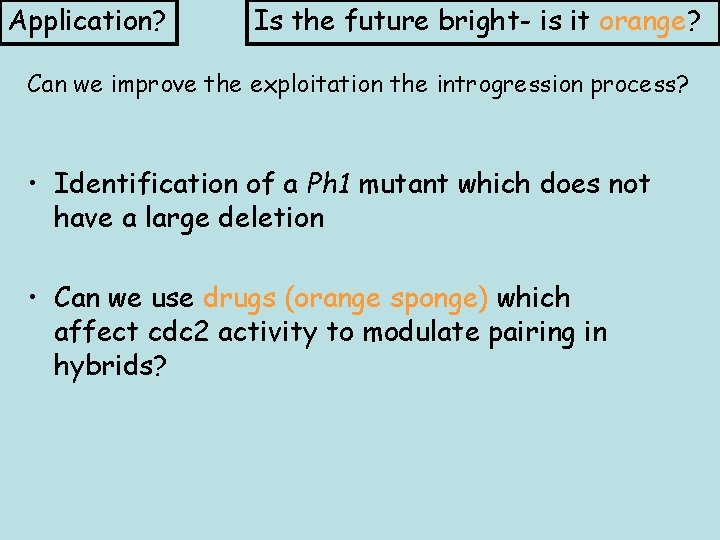 Application? Is the future bright- is it orange? Can we improve the exploitation the