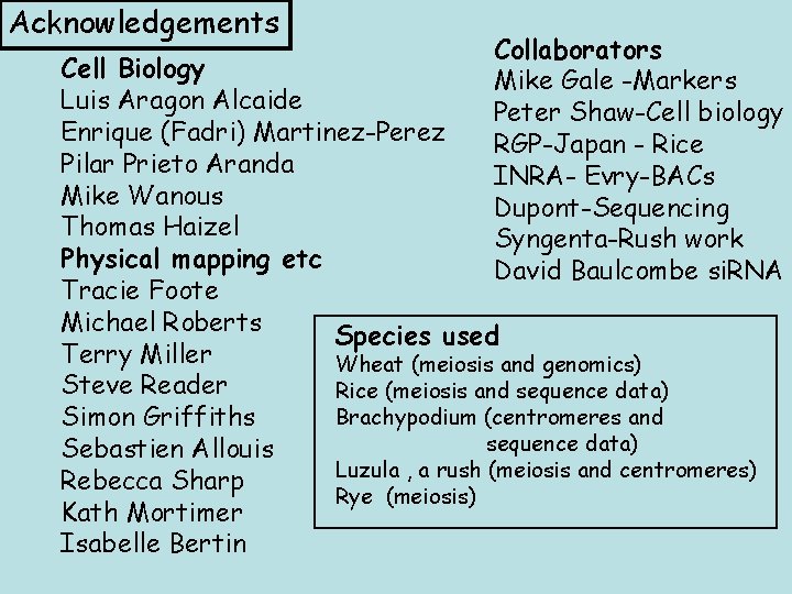 Acknowledgements Collaborators Mike Gale -Markers Peter Shaw-Cell biology RGP-Japan - Rice INRA- Evry-BACs Dupont-Sequencing