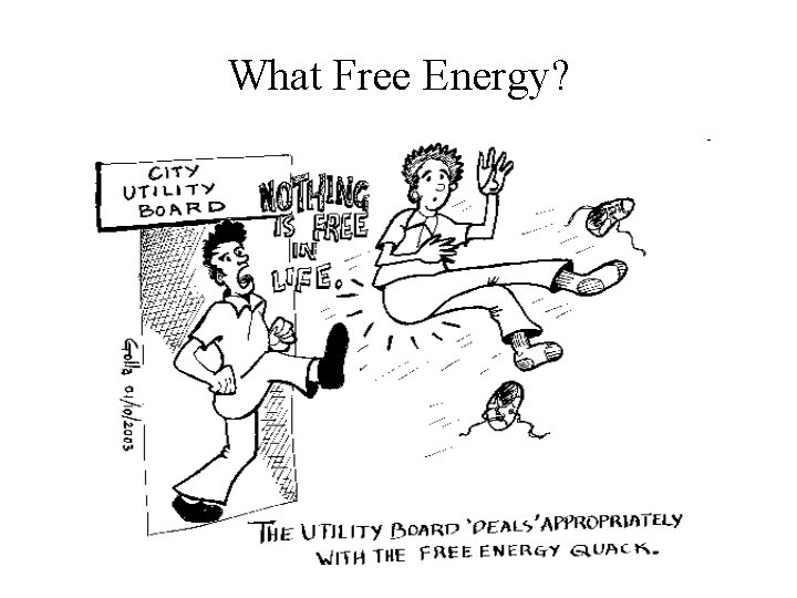 What Free Energy? 