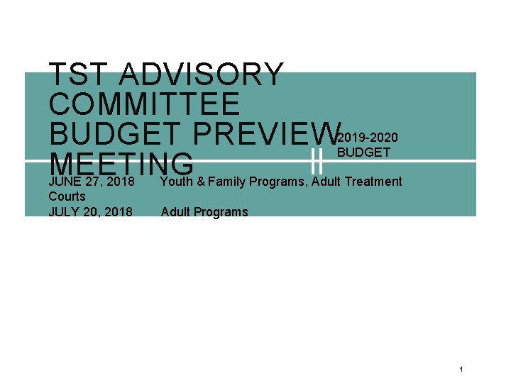 TST ADVISORY COMMITTEE BUDGET PREVIEW 2019 -2020 BUDGET MEETING JUNE 27, 2018 Youth &