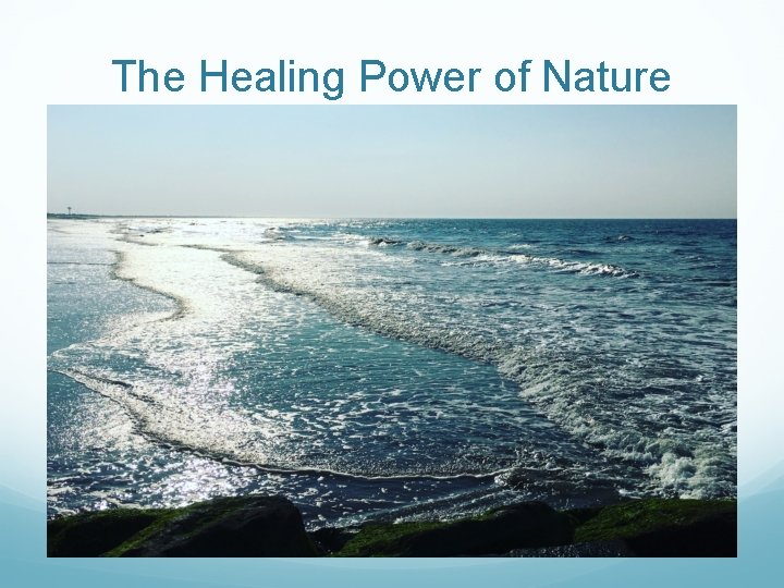 The Healing Power of Nature 