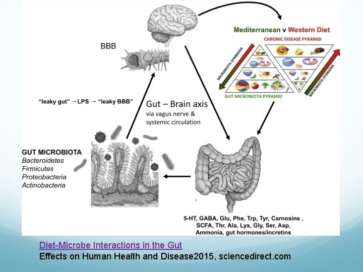 Diet-Microbe Interactions in the Gut Effects on Human Health and Disease 2015, sciencedirect. com