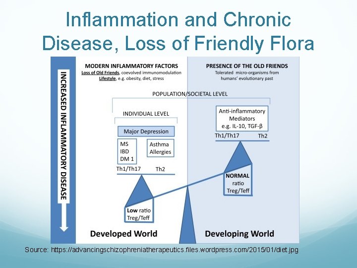 Inflammation and Chronic Disease, Loss of Friendly Flora Source: https: //advancingschizophreniatherapeutics. files. wordpress. com/2015/01/diet.