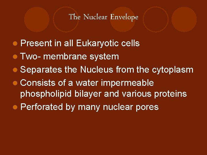 The Nuclear Envelope l Present in all Eukaryotic cells l Two- membrane system l
