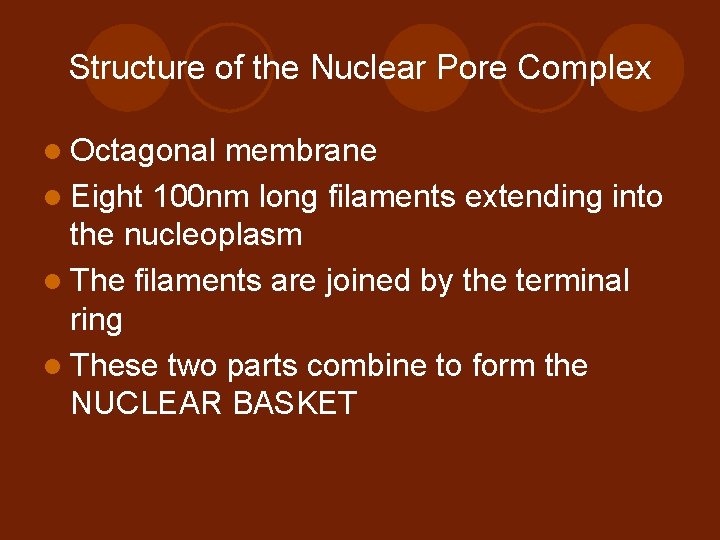 Structure of the Nuclear Pore Complex l Octagonal membrane l Eight 100 nm long