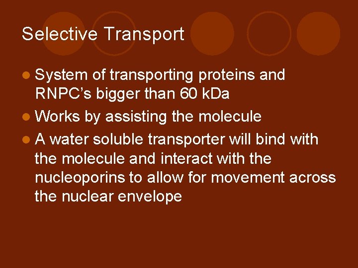 Selective Transport l System of transporting proteins and RNPC’s bigger than 60 k. Da