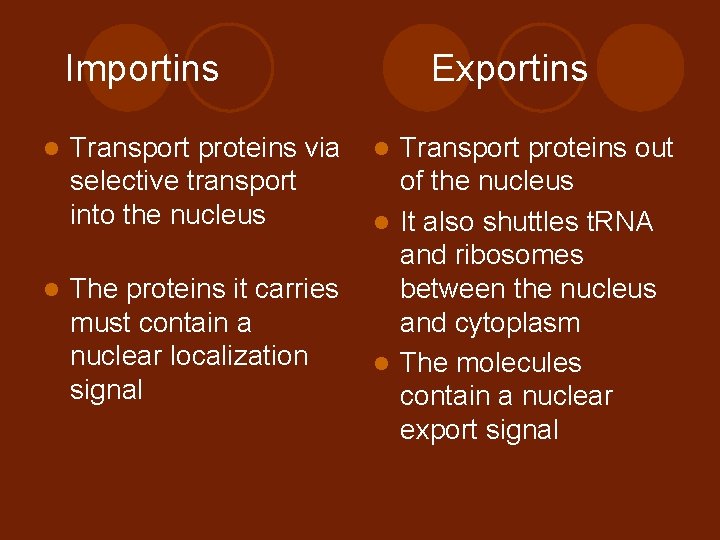 Importins l Transport proteins via selective transport into the nucleus l The proteins it