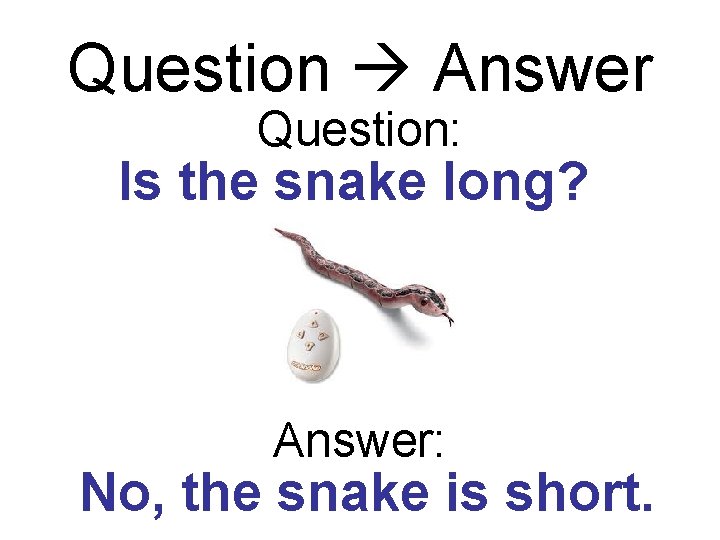 Question Answer Question: Is the snake long? Answer: No, the snake is short. 