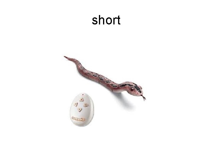 short 