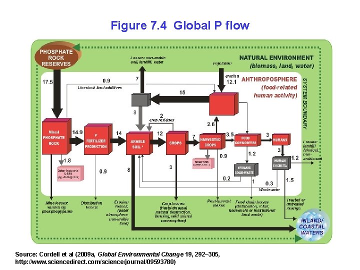 Figure 7. 4 Global P flow Source: Cordell et al (2009 a, Global Environmental