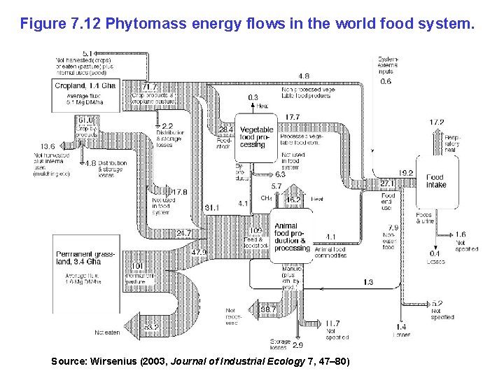 Figure 7. 12 Phytomass energy flows in the world food system. Source: Wirsenius (2003,