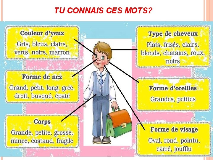 TU CONNAIS CES MOTS? 