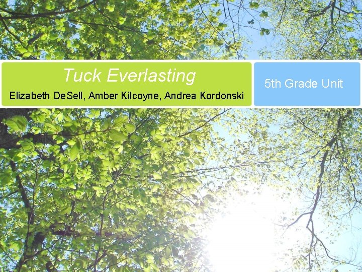 Tuck Everlasting Elizabeth De. Sell, Amber Kilcoyne, Andrea Kordonski 5 th Grade Unit 